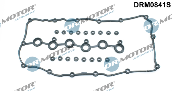 Комплект прокладок гумових КЛАП. КР. (SET) VAG 3.2 V6/3.6 V6 BHK/BHL 09- DR MOTOR (DRM0841S) DR.motor фото 2