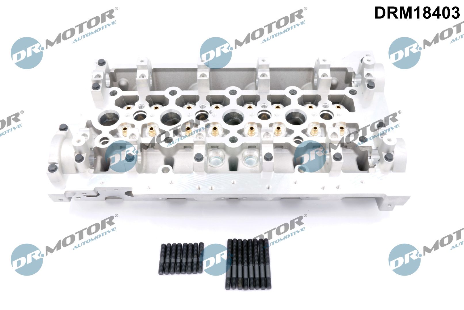 Головка блока RENAULT/NISSAN/OPEL DR MOTOR (DRM18403) DR.motor фото 2