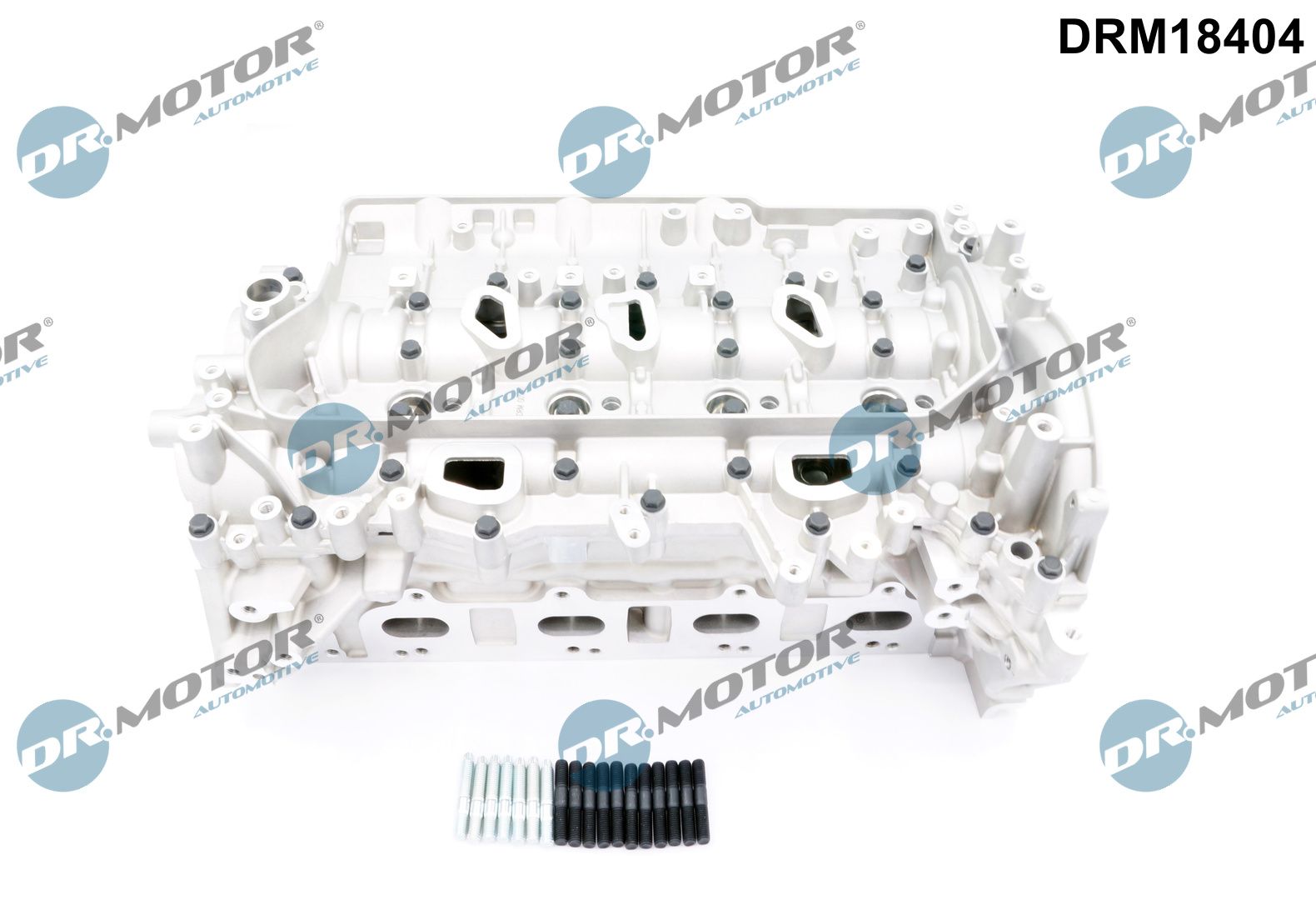 Головка блока RENAULT/NISSAN/OPEL DR MOTOR (DRM18404) DR.motor фото 2